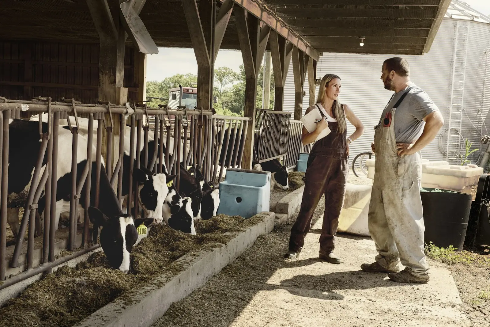 Dois profissionais conversando ao lado de vacas leiteiras